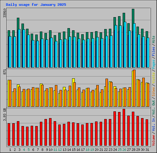 Daily usage for January 2025