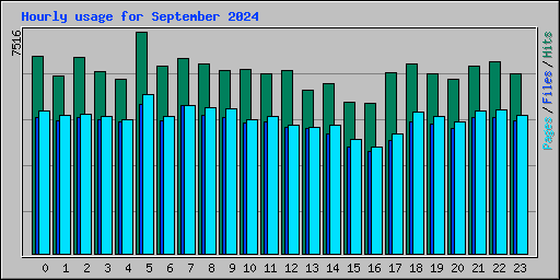 Hourly usage for September 2024