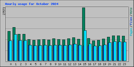 Hourly usage for October 2024