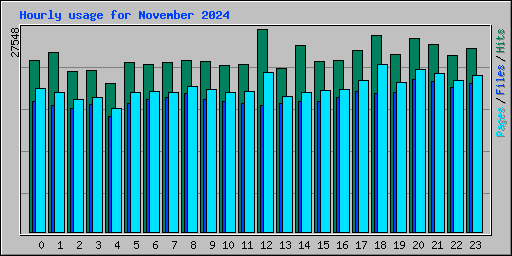 Hourly usage for November 2024