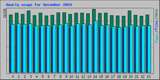 Hourly usage for December 2024