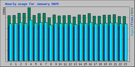 Hourly usage for January 2025