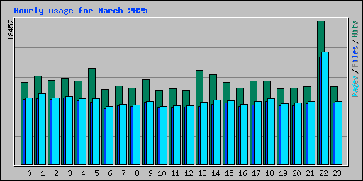 Hourly usage for March 2025